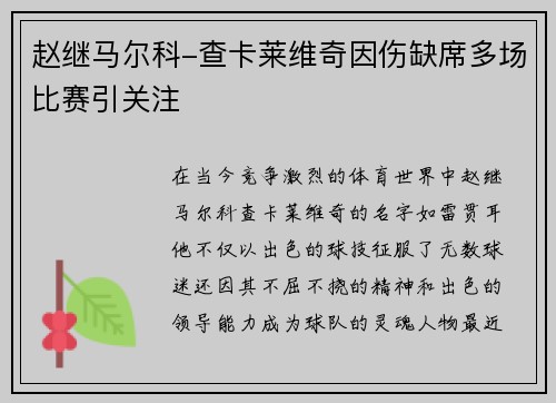 赵继马尔科-查卡莱维奇因伤缺席多场比赛引关注
